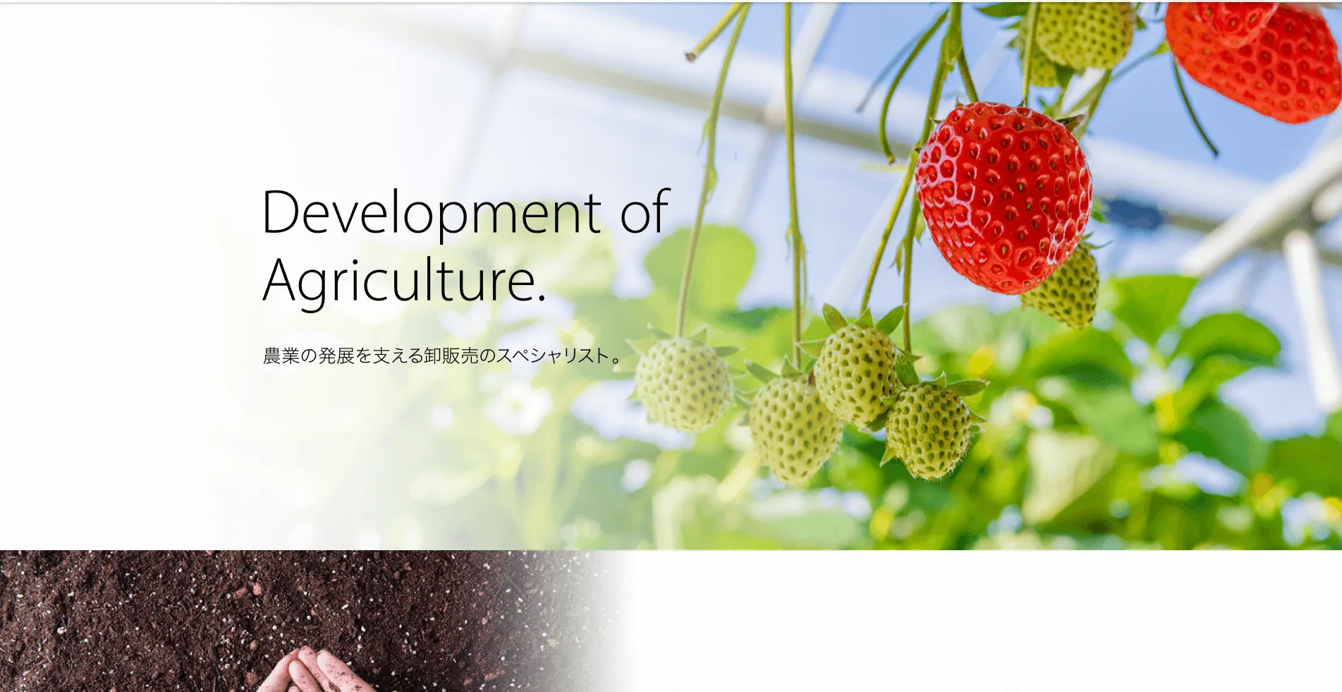 仙台農産株式会社（宮城県岩沼市）